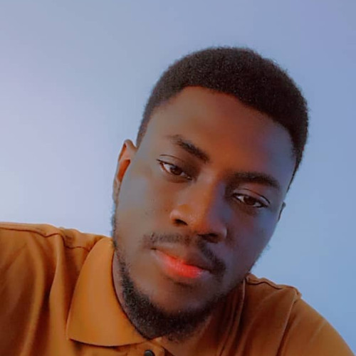 Damilola O. profile photo