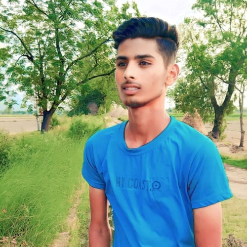 Aryan  B. profile photo