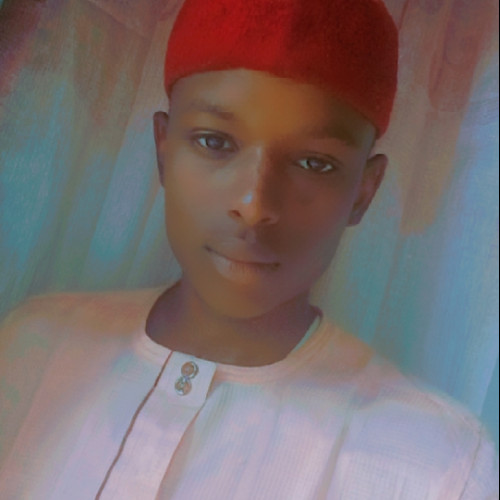 Nazifi S.