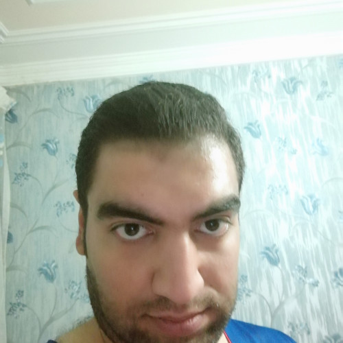Amir Z. profile photo