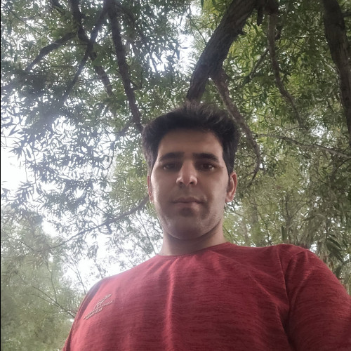 Nader D. profile photo