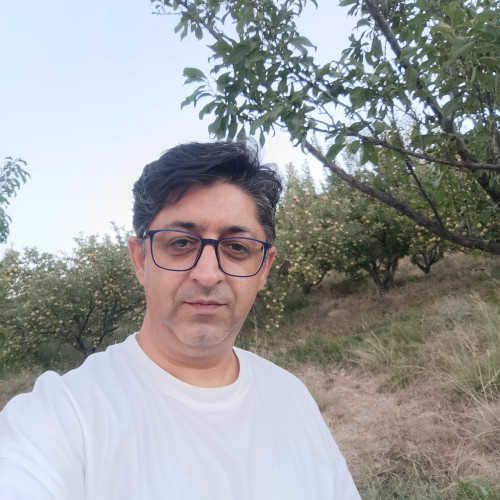 Mehrdad S. profile photo