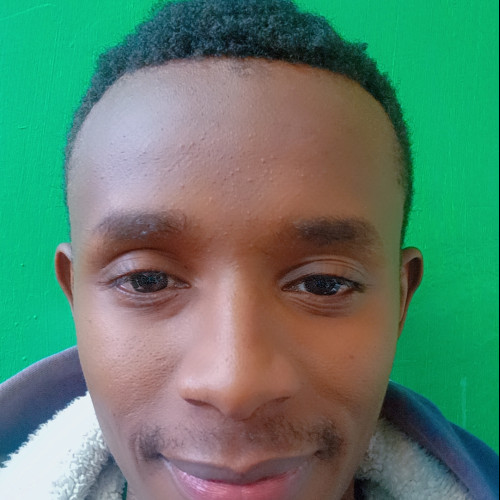 David  N. profile photo