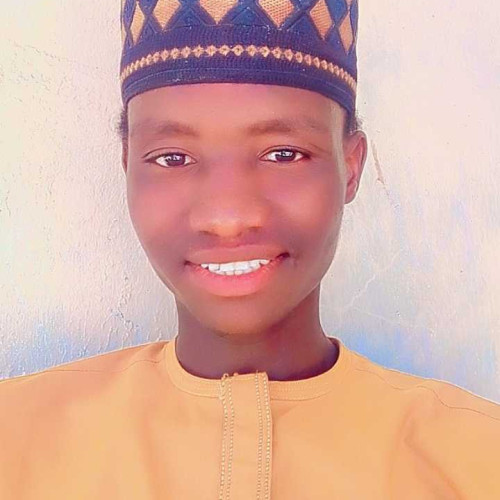 Ibrahim M. profile photo