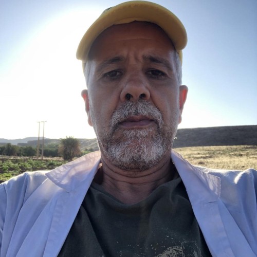 Hamid  S. profile photo