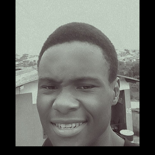 Chi F. profile photo