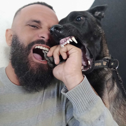 Alejandro V. profile photo