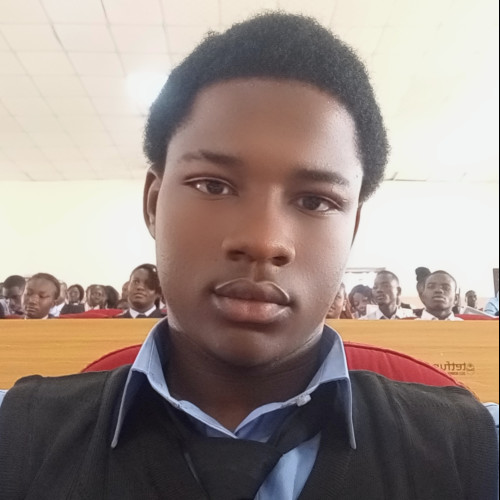 Bewulma T. profile photo