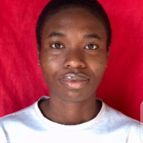 Tochukwu U. profile photo