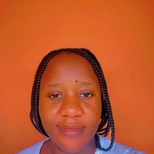 Awobotu  T. profile photo