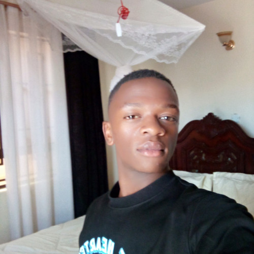 Luiz M. profile photo