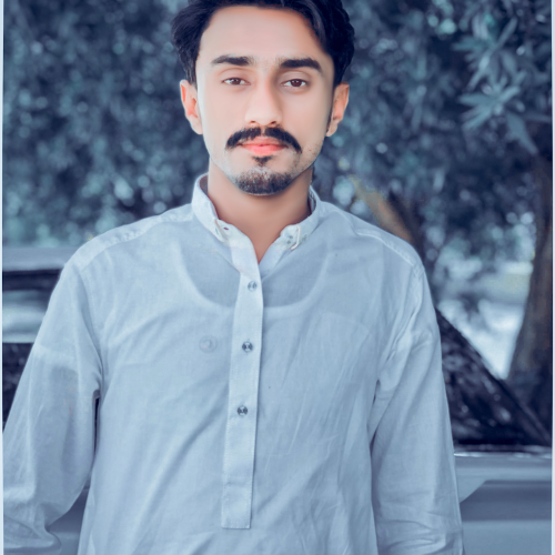 Ghazanfar T.