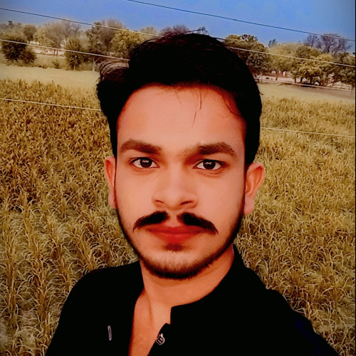 Ghulam  M. profile photo