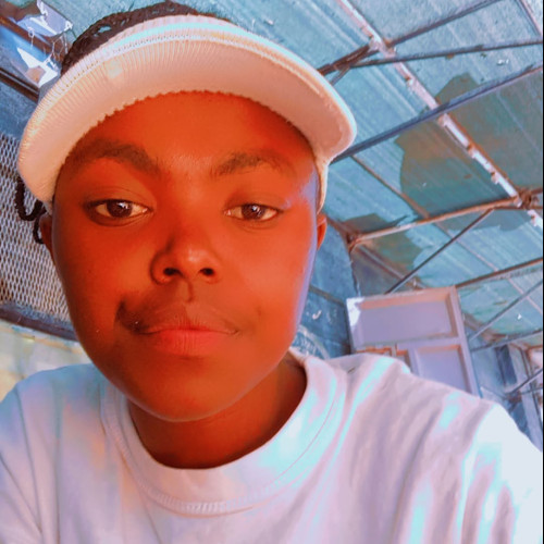 Mitchell  N. profile photo