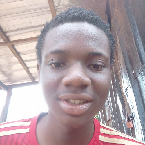 Chidiebere O. profile photo