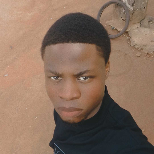 chidera c. profile photo