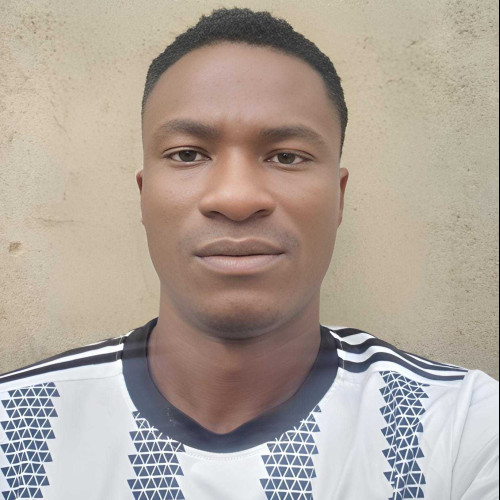 Ajayi E.