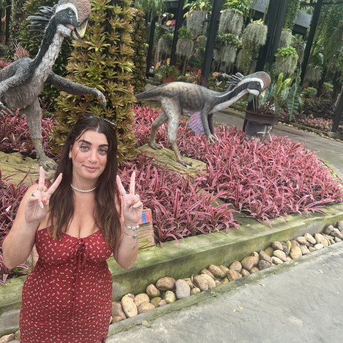 GOLAN E. profile photo