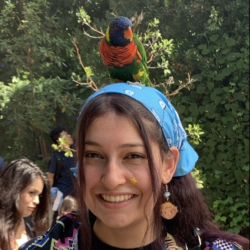 Maddy L. profile photo