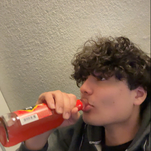 Logan P. profile photo