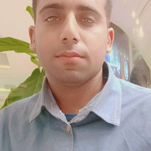 Parsa M. profile photo