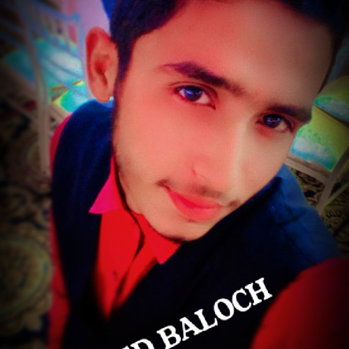 Sameed H. profile photo