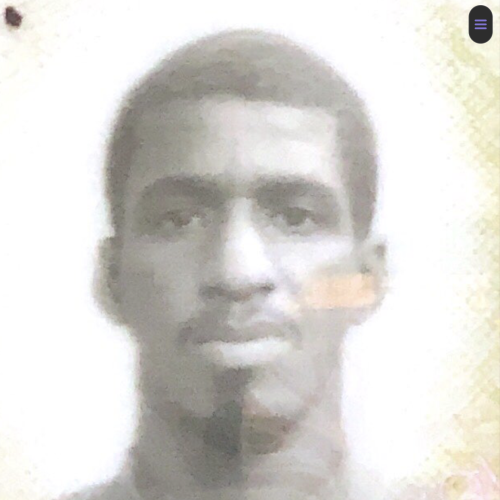 Mohamed Mansour D.