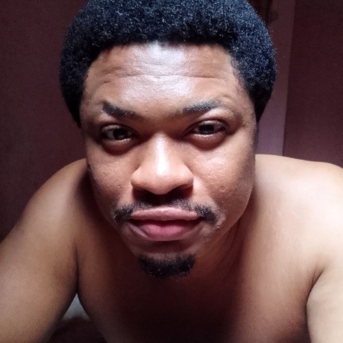 Steve A. profile photo