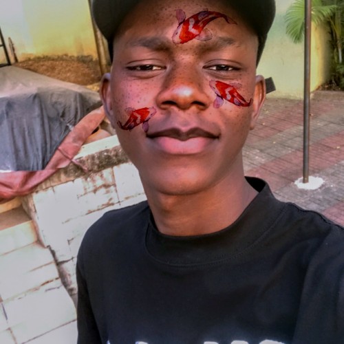 Ericson  E.