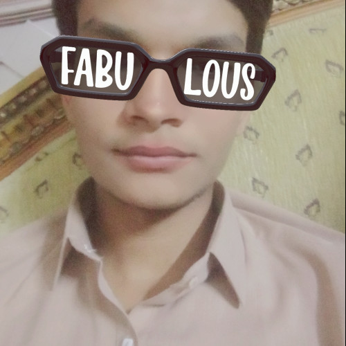 Ameer hamza  H. profile photo
