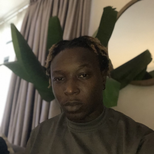 David O. profile photo