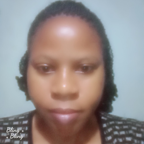 Sarah  N. profile photo