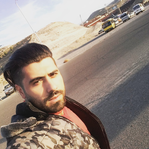 afshin t. profile photo