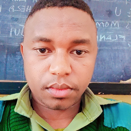 Kelvin  K. profile photo