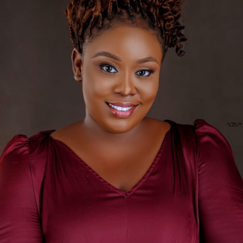 Ihunanyachukwu O. profile photo