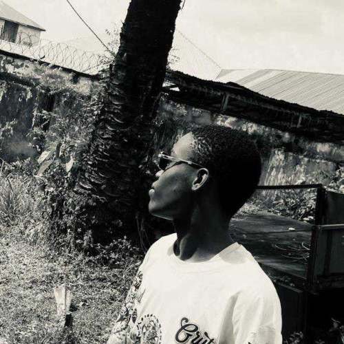 Patrick D. profile photo