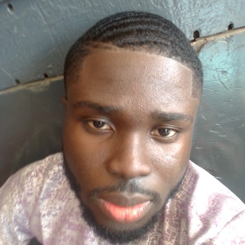 Ayanfeoluwa F. profile photo