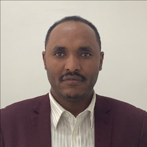 Tadesse M.