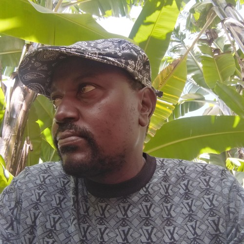 moses  n. profile photo