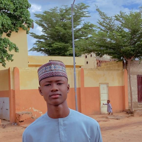 Abubakar  A. profile photo