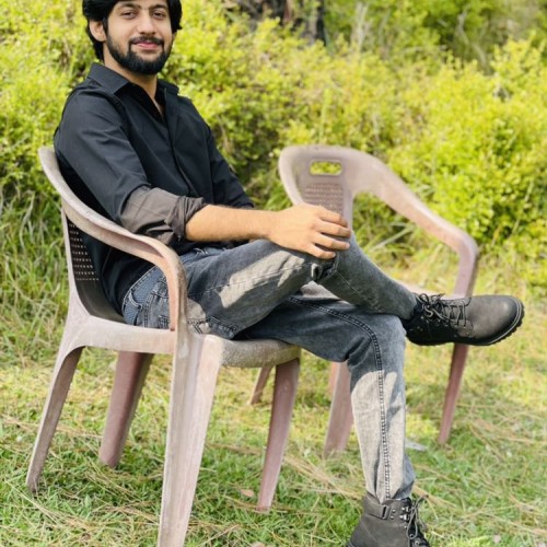arsalan r.