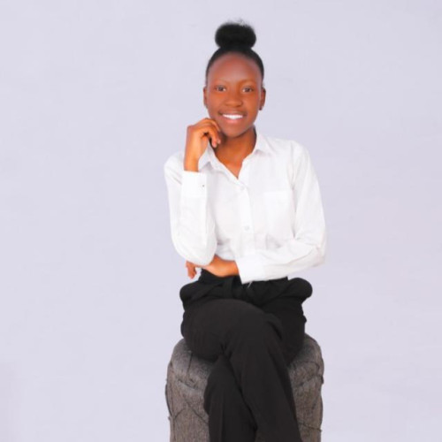 Nyangaresi  S. profile photo