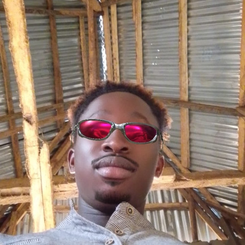 Dee E. profile photo