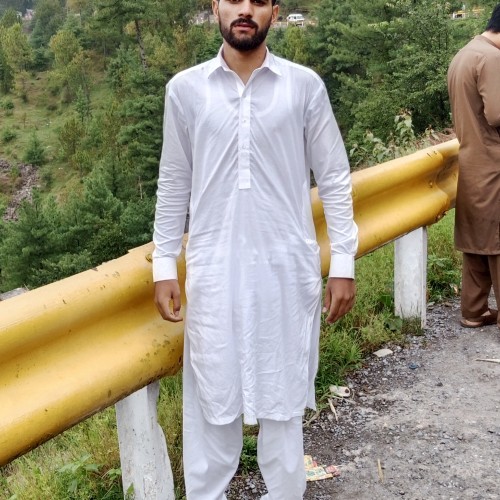 Faizyab a.