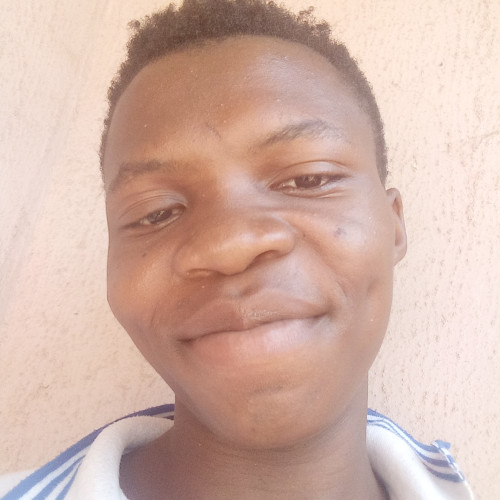 Kingsley  N. profile photo