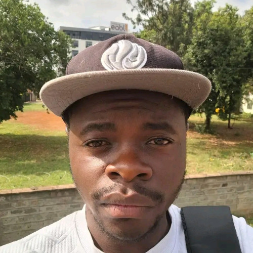 Elvis  O. profile photo