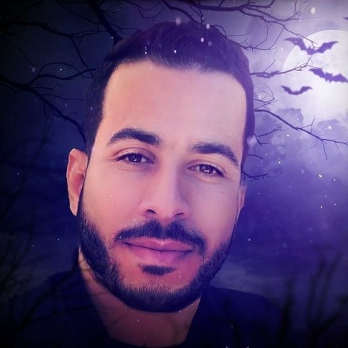 ElHabib H.