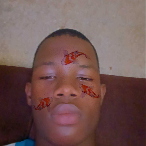 mix E. profile photo