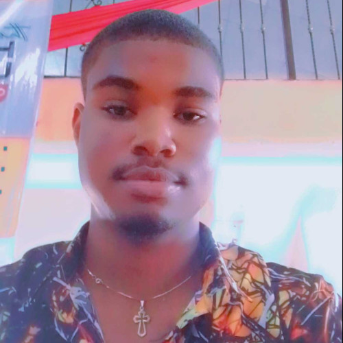 God'swill O. profile photo