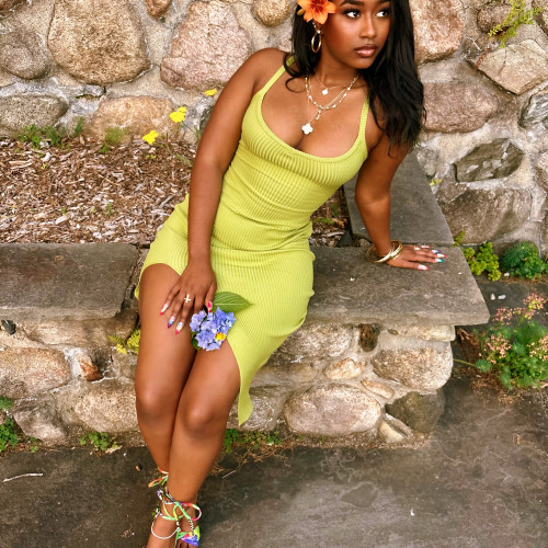 aliani n. profile photo